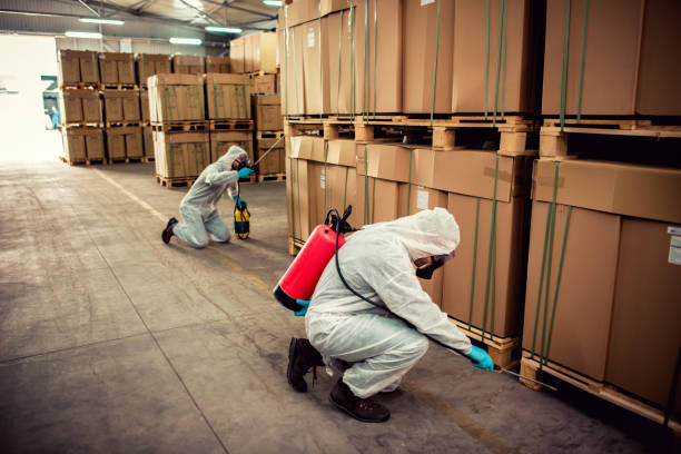 Best Wasp Removal Services  in Brownwood, TX
