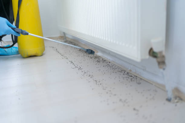 Best Pest Prevention Services  in Brownwood, TX