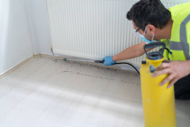 Best Affordable Pest Control Services  in Brownwood, TX